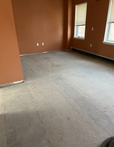 image shows an empty room with beige carpet and orange walls